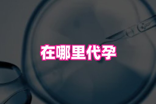 合肥助孕网站 3